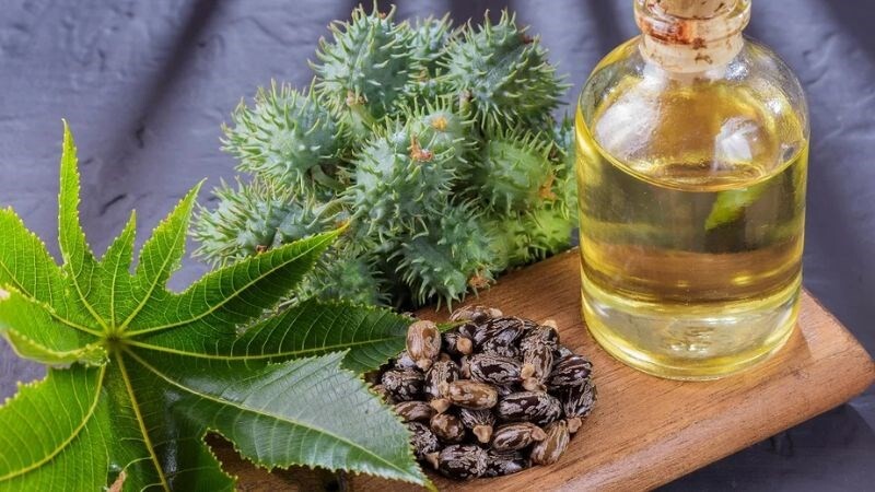 Cách điều trị u xơ tử cung tại nhà nhanh chóng, hiệu quả 2 - 2 Cach Dieu Tri U Xo Tu Cung Tai Nha Bang Dau Thau Dau