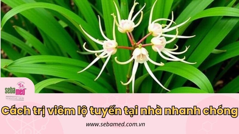 Cách trị viêm lộ tuyến tại nhà nhanh chóng, an toàn 1 - 1 Cach Tri Viem Lo Tuyen Tai Nha