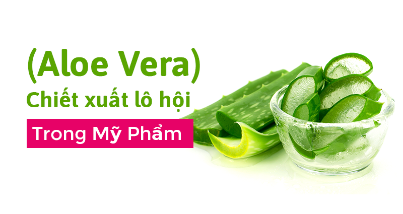 Chiết xuất lô hội Aloe Vera trong mỹ phẩm có tác dụng gì cho da?