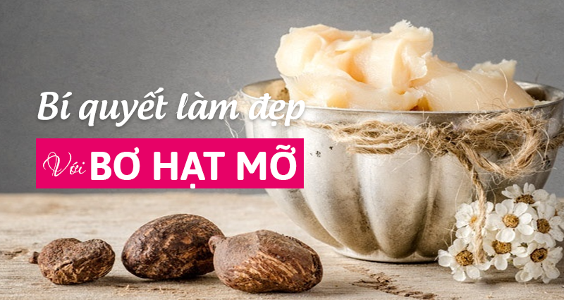 Bật mí bí quyết làm đẹp với bơ hạt mỡ