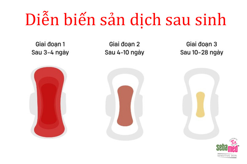 Theo dõi diễn biến sản dịch sau sinh để phát hiện sớm tình trạng viêm nhiễm vùng kín bất thường.
