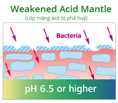 Do Ph La Gi Sebamed 3