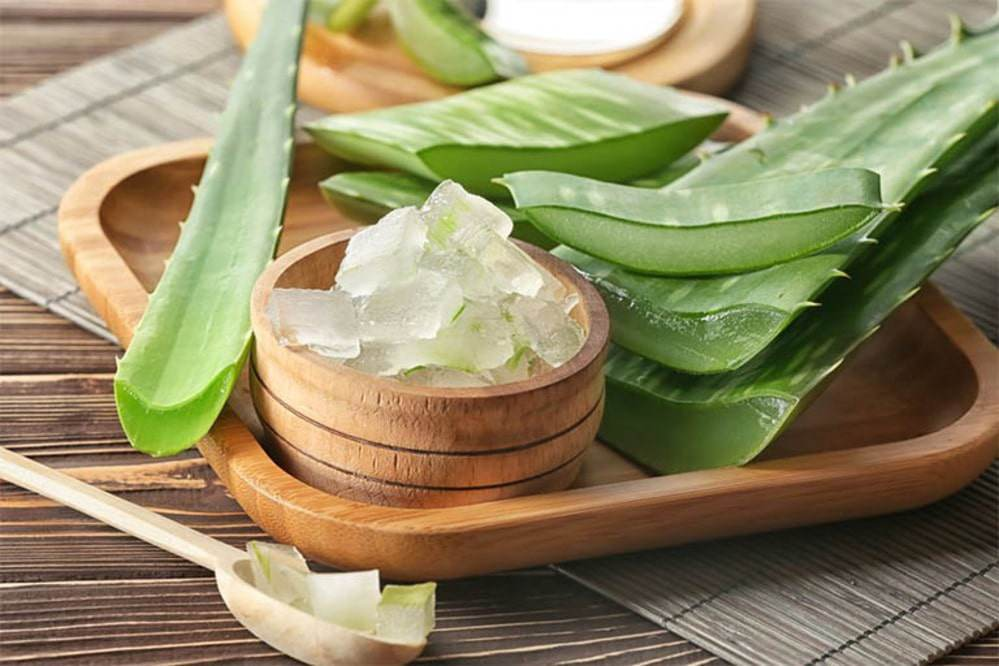 CÔNG DỤNG CỦA LÔ HỘI – CHIẾT XUẤT ALOE VERA TRONG MỸ PHẨM