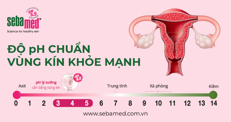 Độ pH chuẩn cho vùng kín khỏe mạnh