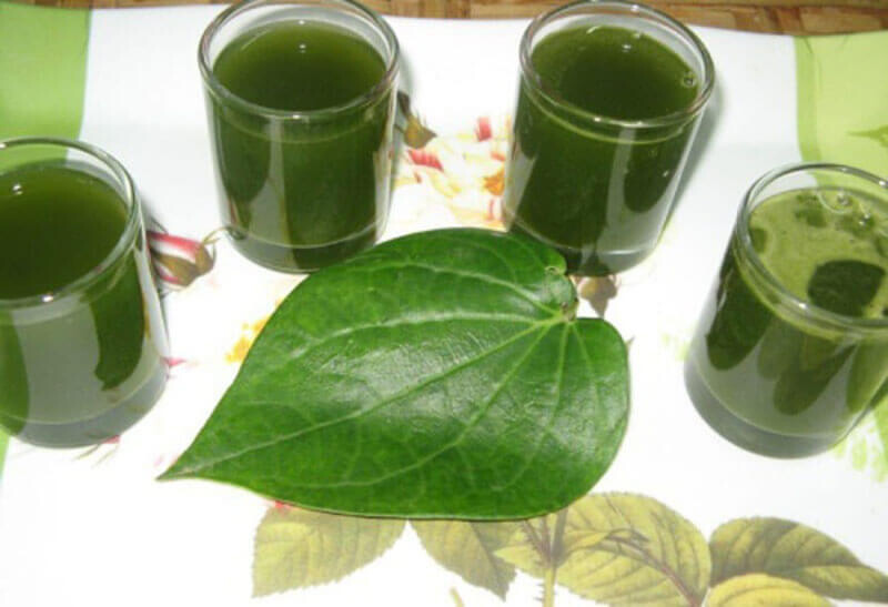 Cách chữa viêm phụ khoa bằng lá trầu không đơn giản 3 - 3 Chua Viem Phu Khoa Bang Nuoc La Trau Khong