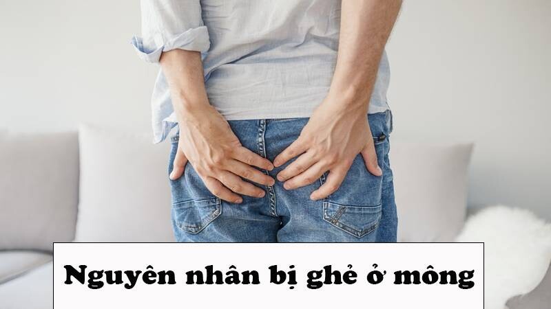 Nguyên nhân bị ghẻ ở mông.