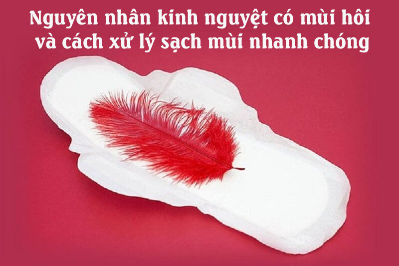 Kinh nguyệt có mùi hôi: Nguyên nhân và cách xử lý sạch mùi nhanh chóng