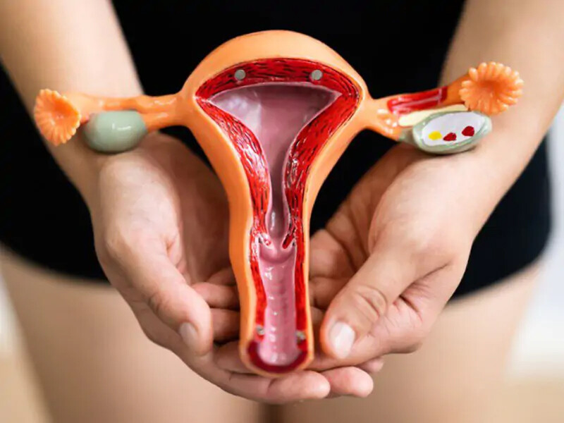 Khi vùng kín có mùi hôi các bạn có thể cân nhắc dùng cốc nguyệt san hoặc tampon.